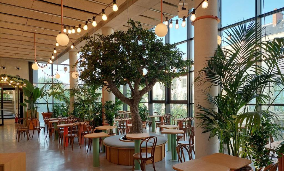 Titi Palacio — Bar, Restaurant, Cafés in 75004